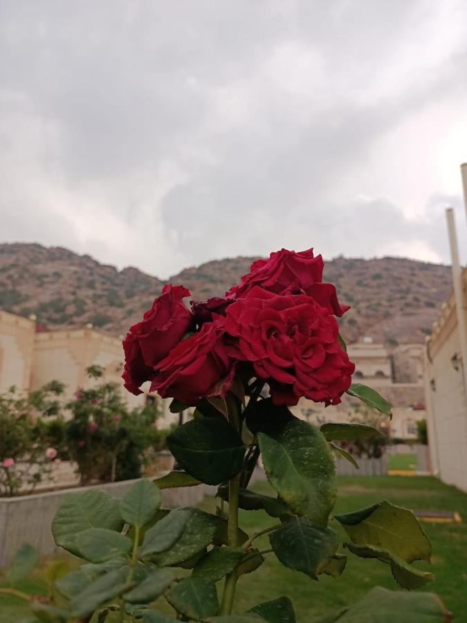 Fiori Resort 塔伊夫 外观 照片